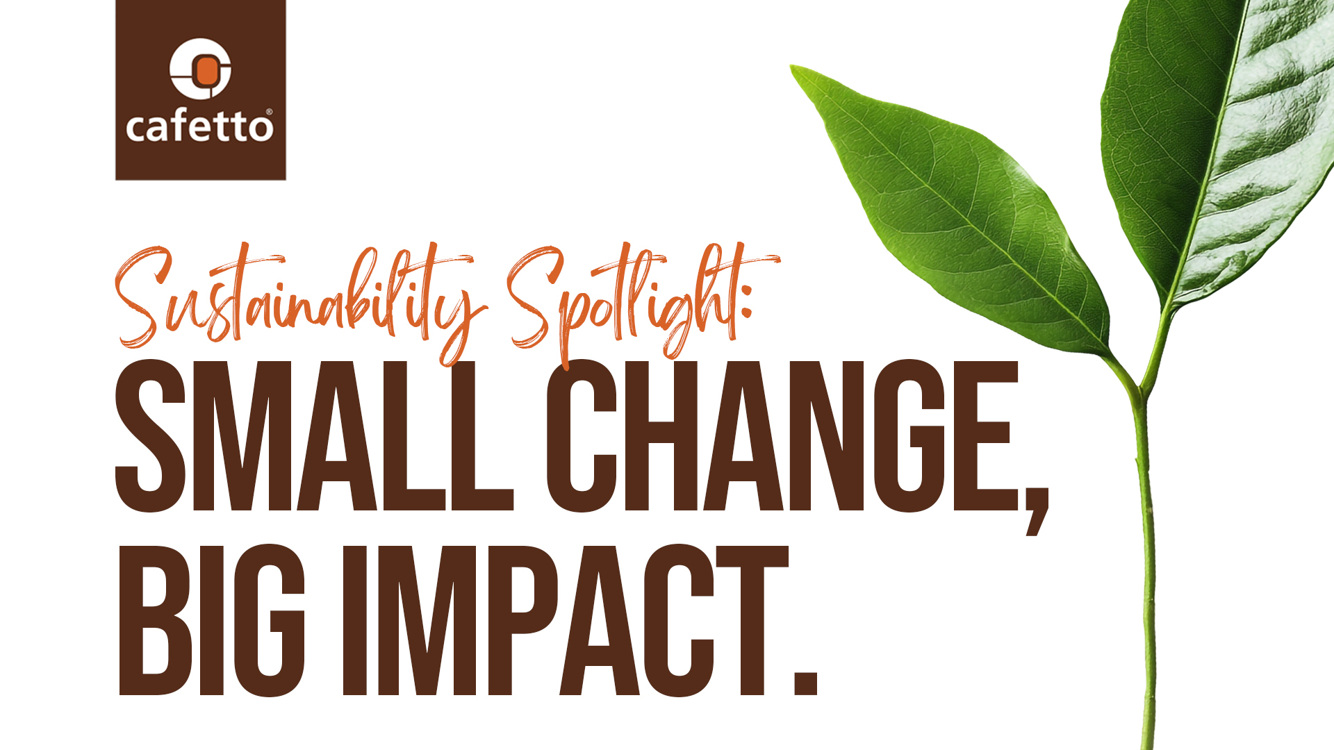 Cafetto sustainabiity